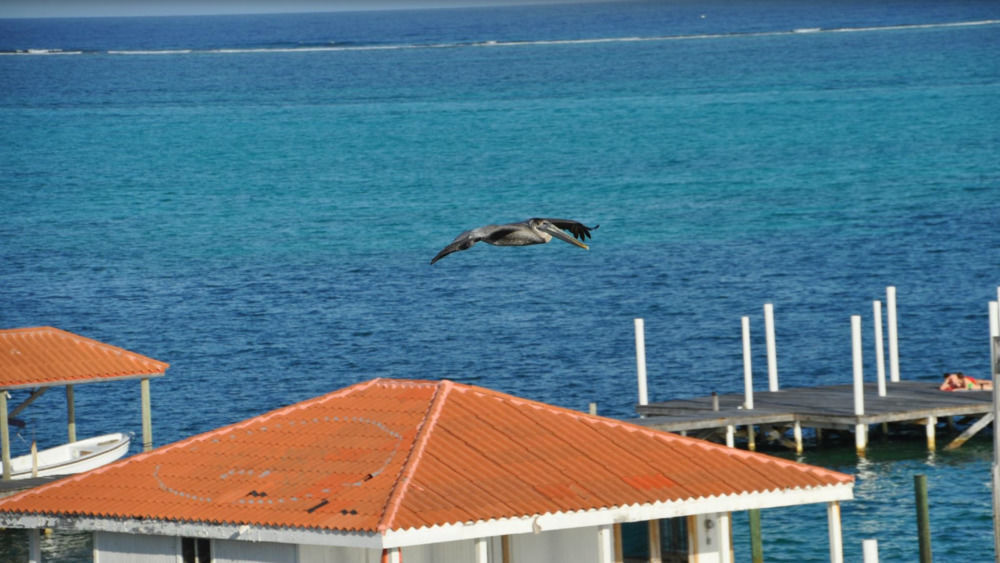 Sands Villas San Pedro  Eksteriør billede